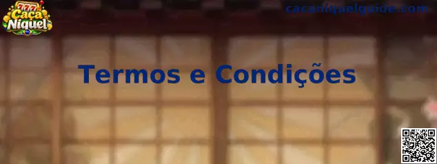 Termos e Condições